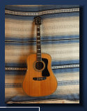 dfishnetguitars001003.jpg