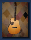dfishnetguitars001010.jpg