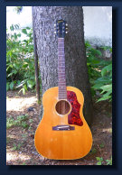 dfishnetguitars001011.jpg