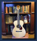 dfishnetguitars001014.jpg