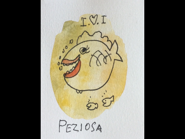 Photo 26-06-2015 08 47 48